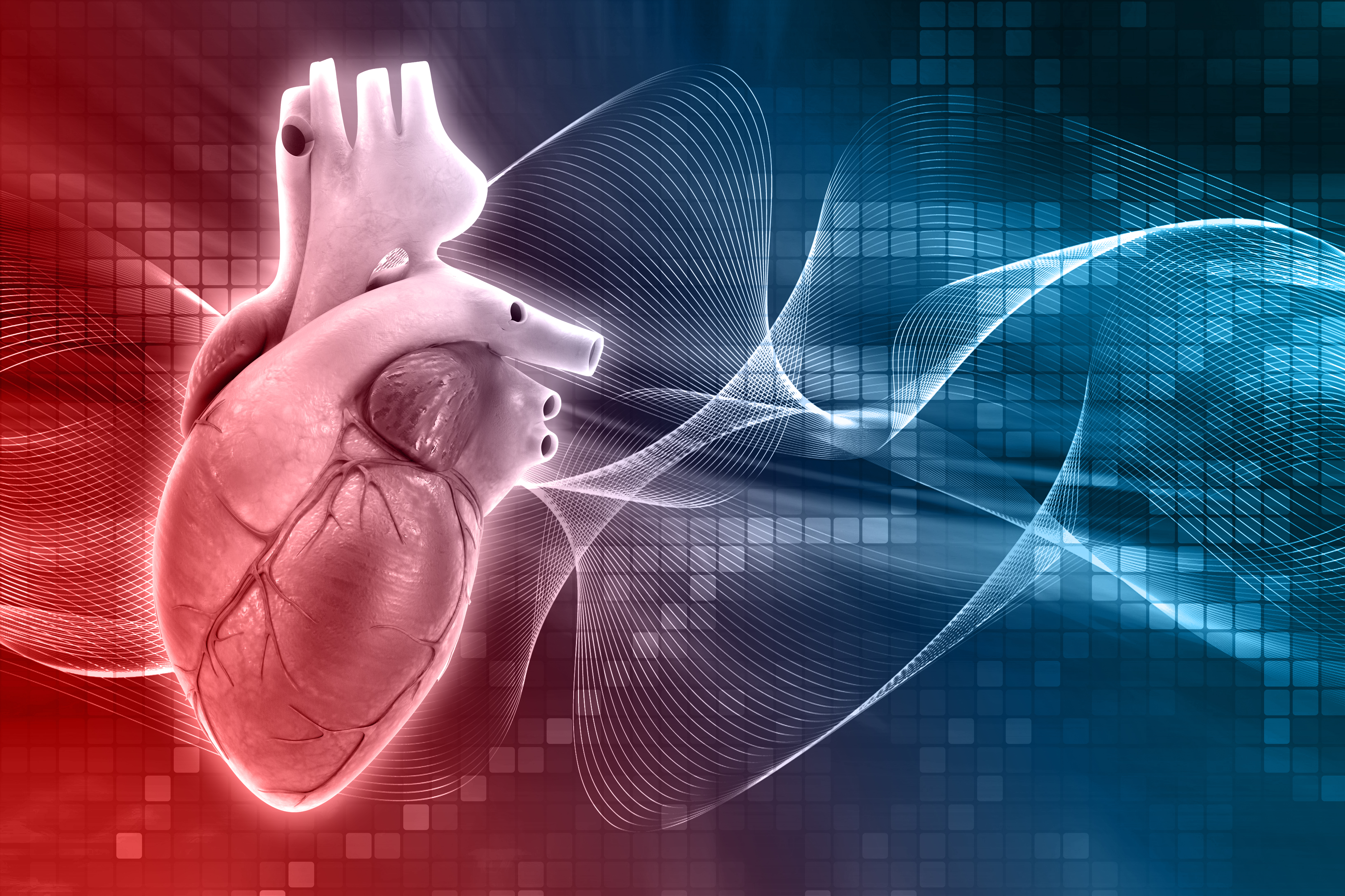 Spécialités 3 Prise en charge de l'Hyper-tention arterielle