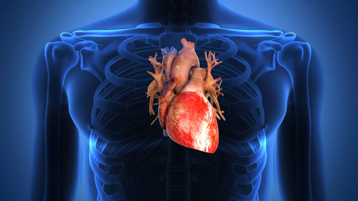 Vivre avec l'Insuffisance Cardiaque: 5 Conseils pour une Vie Saine 1 Insuffisance Cardiaque