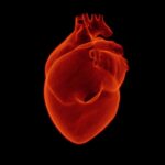 cardiologue spécialiste interventionnel heart, medical, health