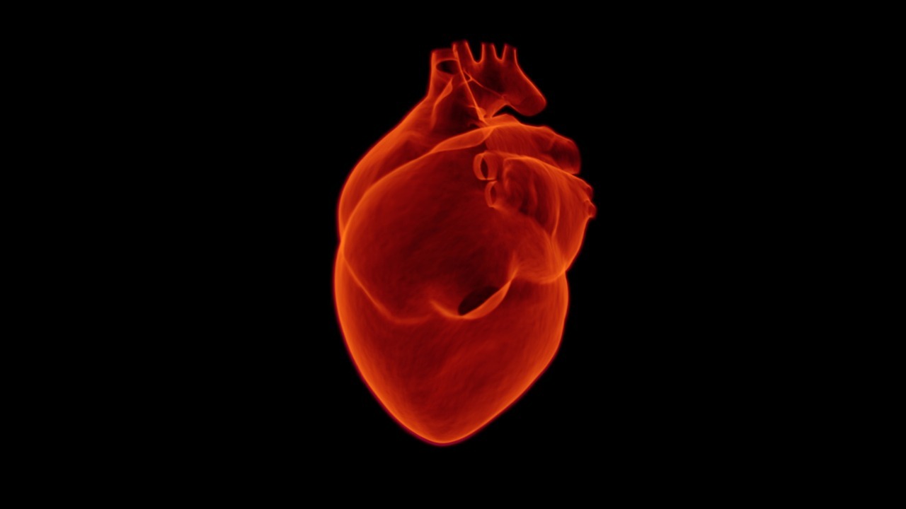 Maîtrisez Votre Santé Cardiaque: Cardiologue Spécialiste Interventionnel 1 cardiologue spécialiste interventionnel heart, medical, health