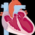 insuffisance cardiaque