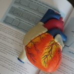 Arythmie cardiaque - human heart illustration